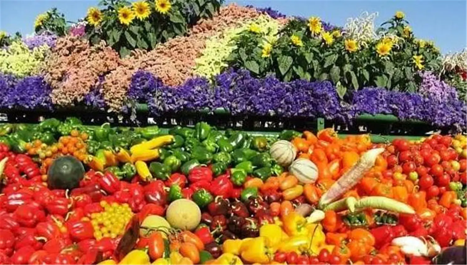 ꯶꯱꯳.jpgꯗꯥ ꯐꯣꯉꯈ꯭ꯔꯦ꯫