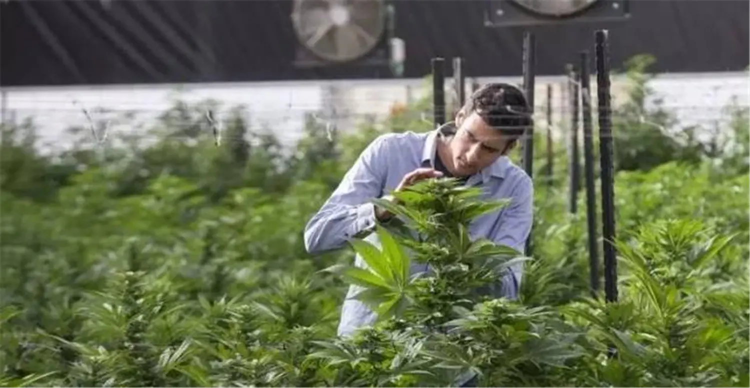 ꯶꯱꯲.jpgꯗꯥ ꯐꯣꯉꯈ꯭ꯔꯦ꯫