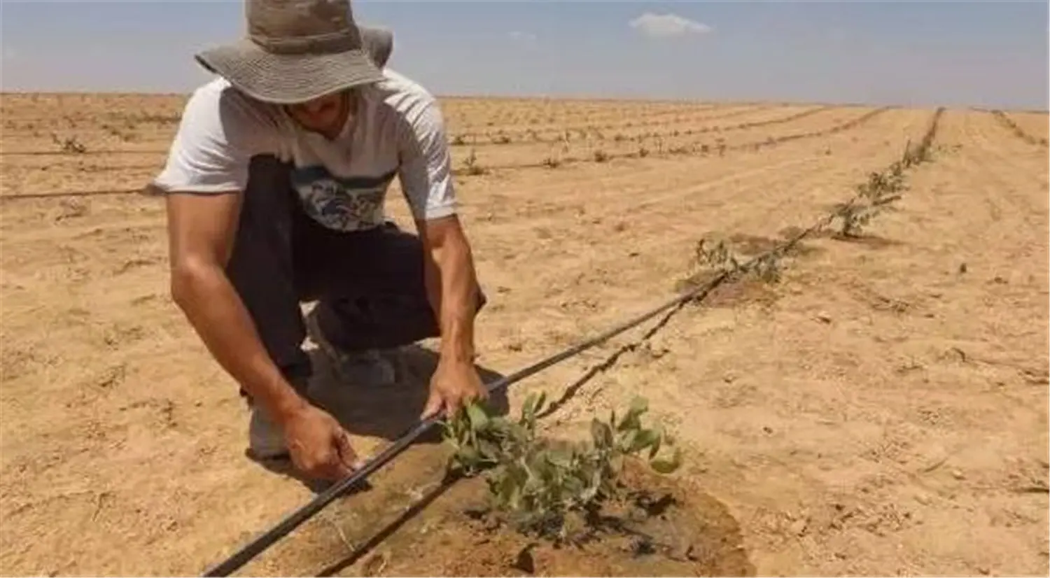 ꯶꯰꯷.jpgꯗꯥ ꯐꯣꯉꯈ꯭ꯔꯦ꯫