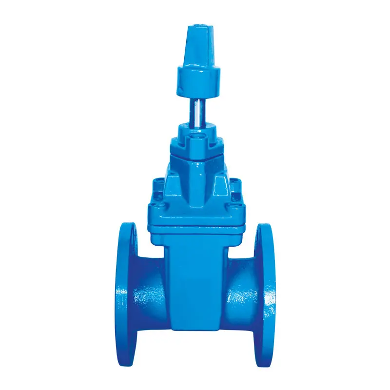 Elastic seat sealing gate valve for pipeline network.jpg