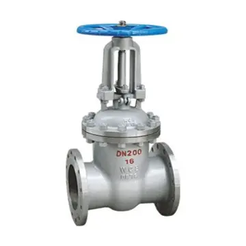 International cast steel gate valve
