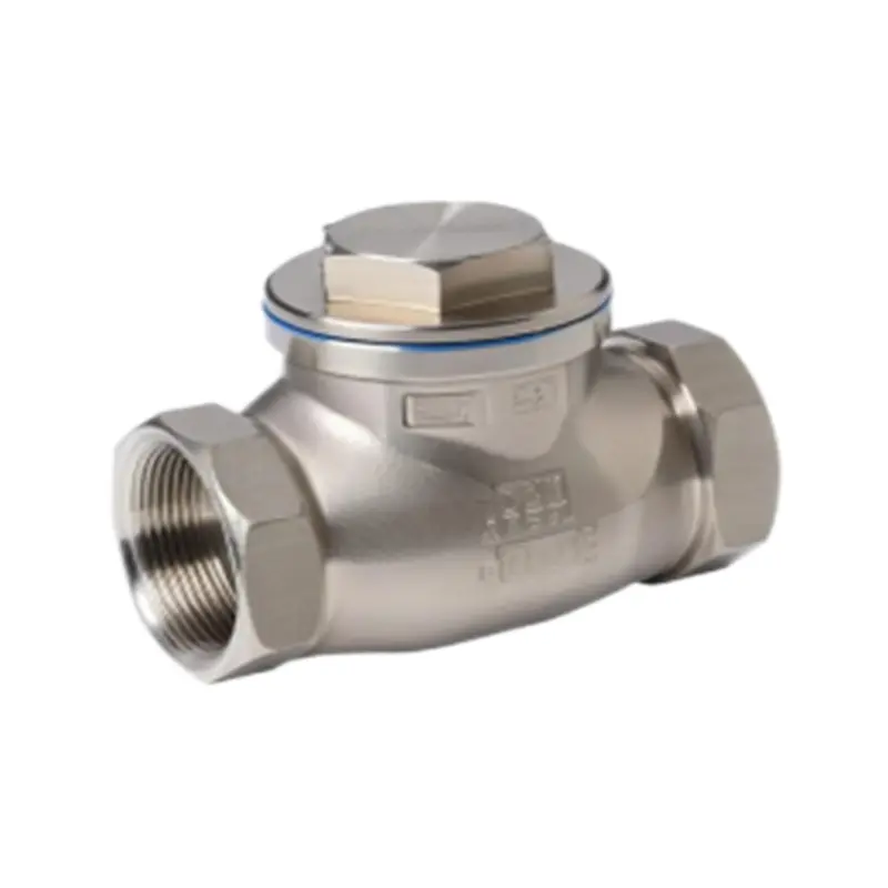 Stainless steel wire check valve.jpg