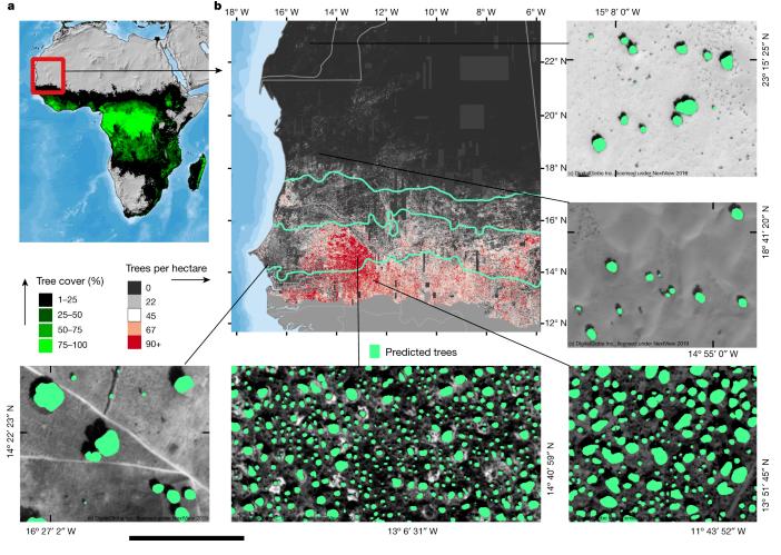 ꯸-꯲.jpgꯗꯥ ꯌꯥꯑꯣꯔꯤ꯫