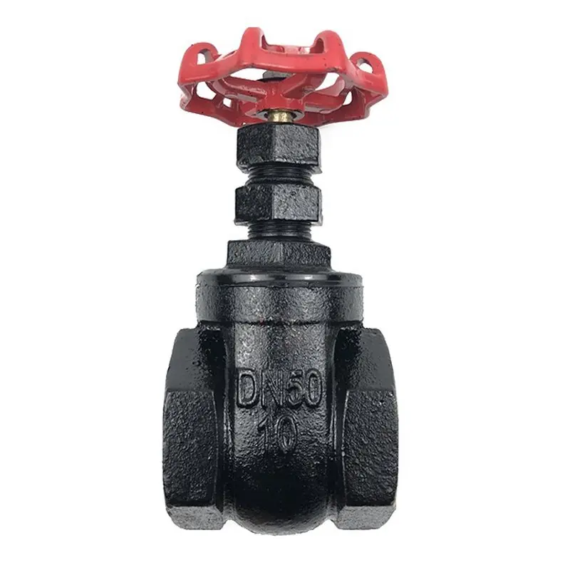 Cast iron threaded gate valve.jpg