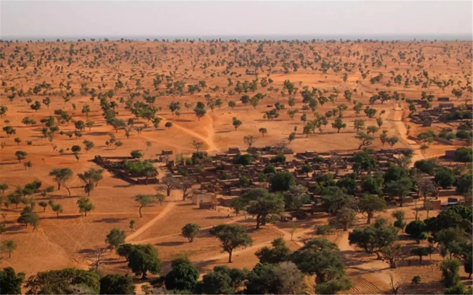 ꯸-꯱꯰꯱.jpgꯗꯥ ꯐꯣꯉꯈ꯭ꯔꯦ꯫