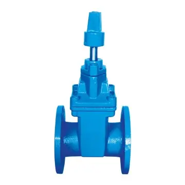 Elastic seat sealing gate valve for pipeline network