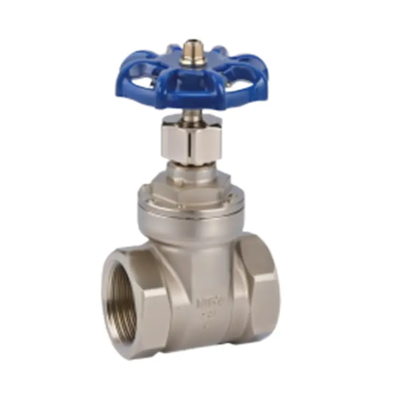 Stainless steel wire gate valve.jpg