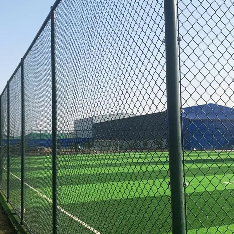 ꯄ꯭ꯔꯣꯇꯦꯛꯁꯟ ꯅꯦꯠ-ꯁ꯭ꯄꯣꯔꯇꯁ ꯅꯦꯠ.jpg